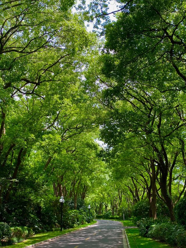 隱藏喺城市入面嘅秘境！