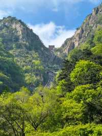 ###  泰山旅遊攻略：登頂五嶽獨尊，暢享雲海日出