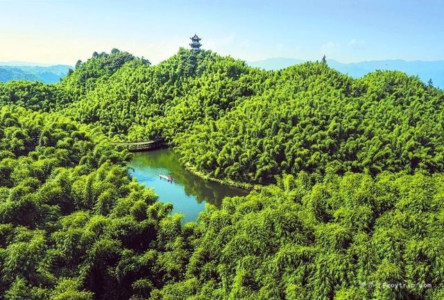 樂山美拉酒店與沐川竹海的邂逅