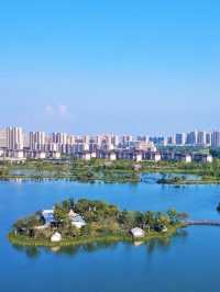 上海高鐵1H｜等待溫柔荷花怒放嘅一刻