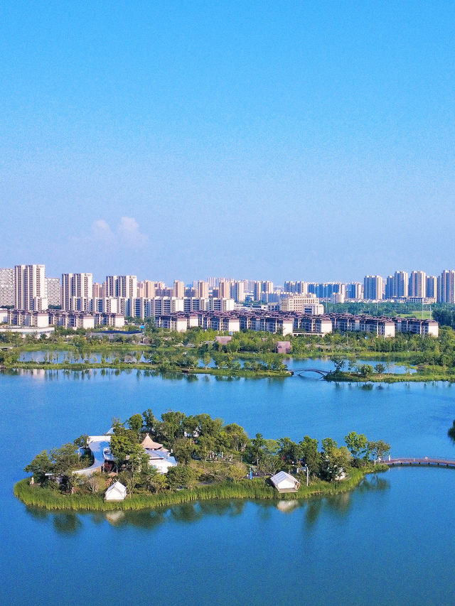 上海高鐵1H｜等待溫柔荷花怒放嘅一刻