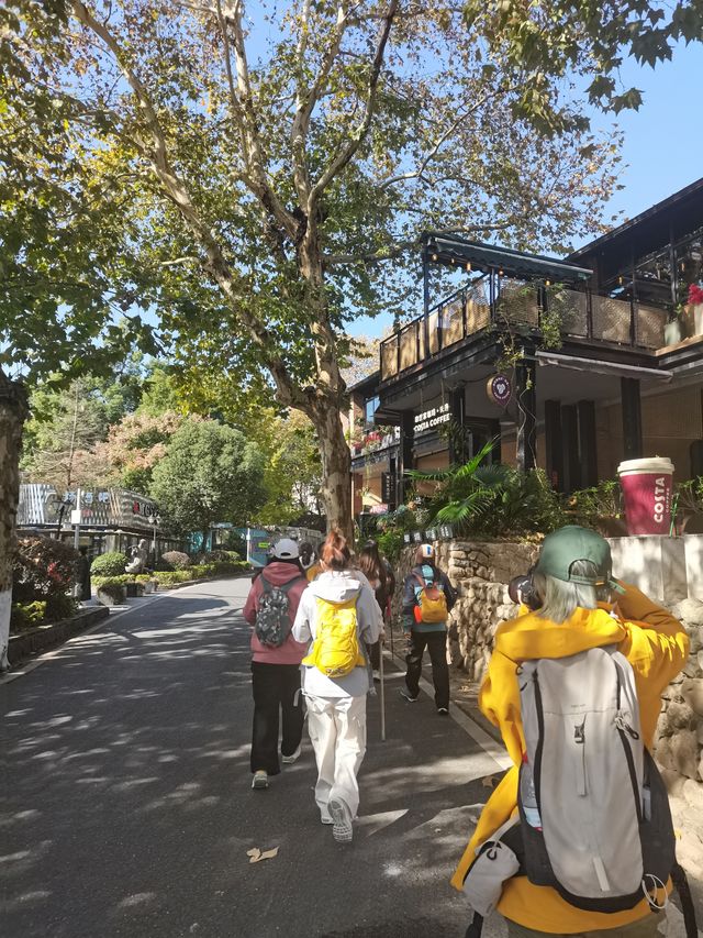 上海一日往返莫干山徒步～～打卡天然氧吧