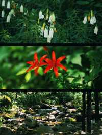 北京行山-京郊阿勒泰玉渡山