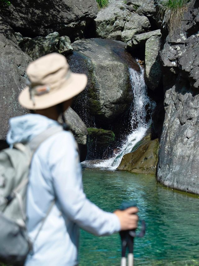 竹海聽白噪音 腦內彈幕清零
