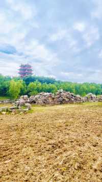 夏日暢遊煙台牟平沁水河口國家濕地公園