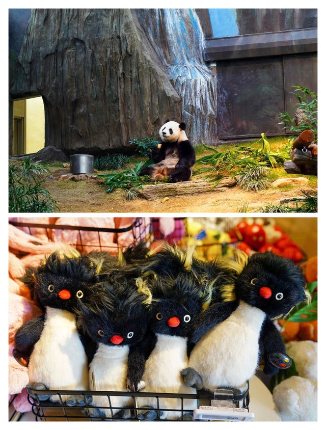 香港海洋公園旺季生存法則！3日玩盡20個項目，呢5個錯千祈唔好犯