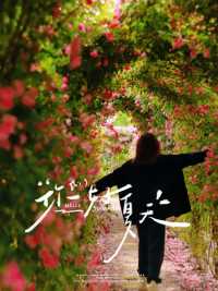 常德受罪已回，真係唔建議7月份嚟