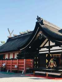 千年神社巡禮！住吉大社不可錯過的靜谧體驗】**  