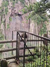 黃山「避雨」實錄：暴雨預警下的驚喜晴日與雲海奇觀