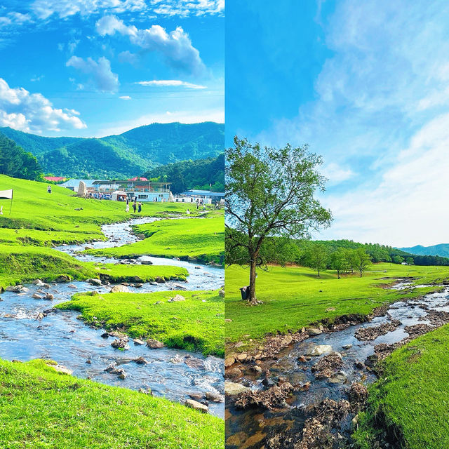 平均21度必帶小朋友去嘅避暑勝地