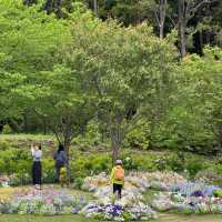 【橫濱里山花園4月尾靚到尖叫！即時實況分享】