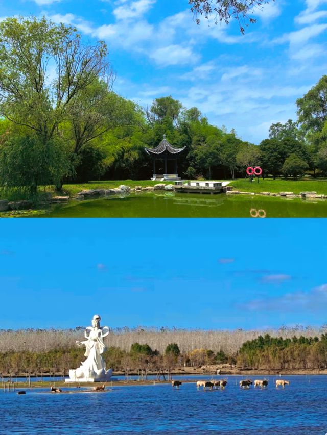 江蘇中華麋鹿園位於江蘇省鹽城市草廟鎮麋鹿大道