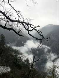 貴州·銅仁梵淨山  仙境雲海