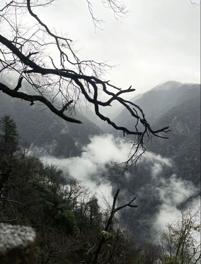貴州·銅仁梵淨山  仙境雲海