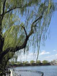 皇城之中的千年御苑：北海公園