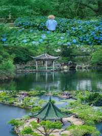 蘇州太湖寶藏地，呢間酒店錯過拍大髀
