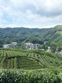 杭州九溪徒步｜喺小溪同茶園治癒系吸氧