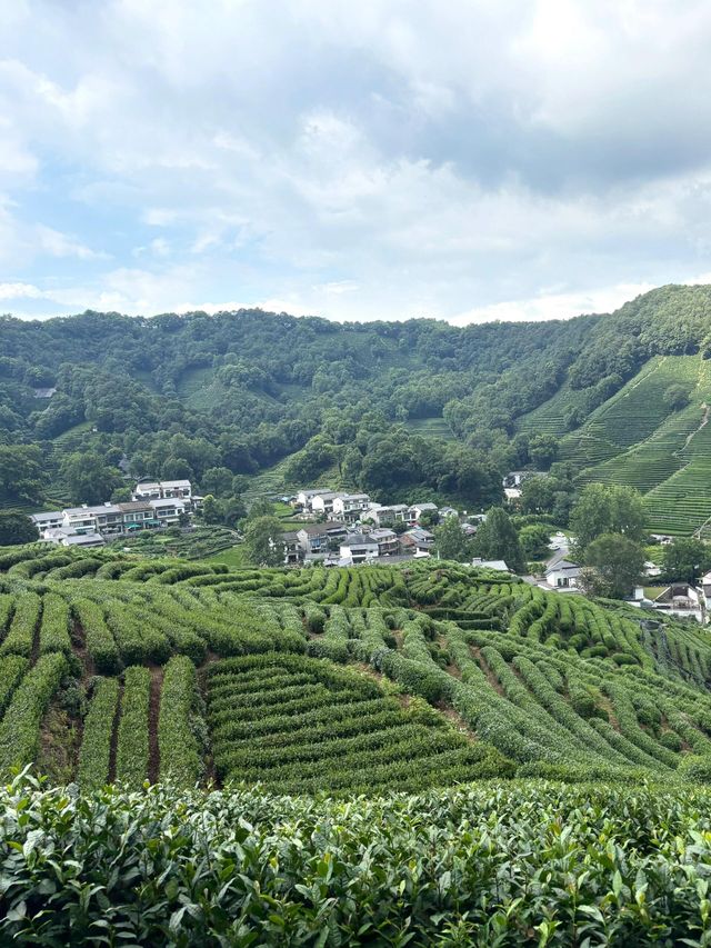 杭州九溪徒步｜喺小溪同茶園治癒系吸氧