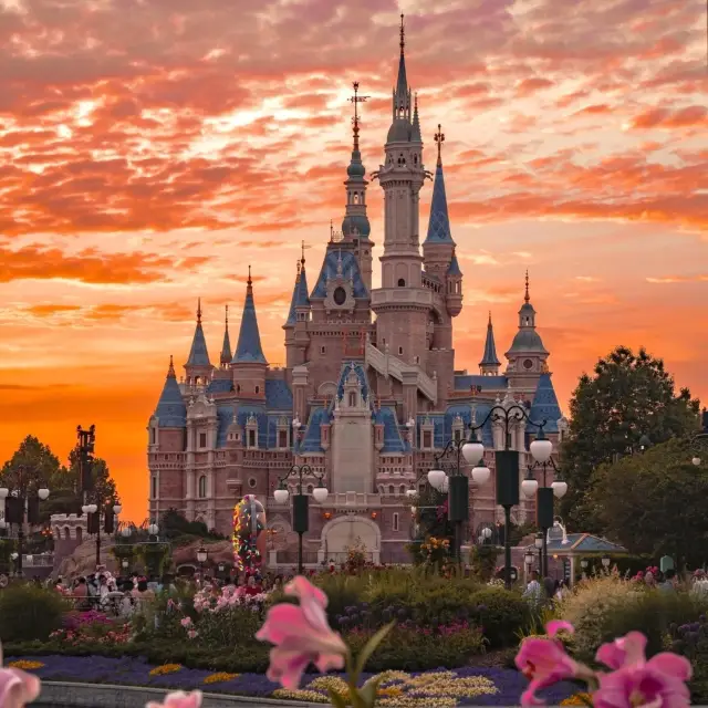 Latest Shanghai Disneyland Guide! This article has everything you need to enjoy the park!