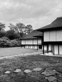 Kyoto’s Charm: Where Culture, Nature, and History Collide