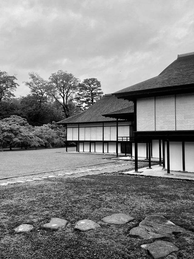 Kyoto’s Charm: Where Culture, Nature, and History Collide