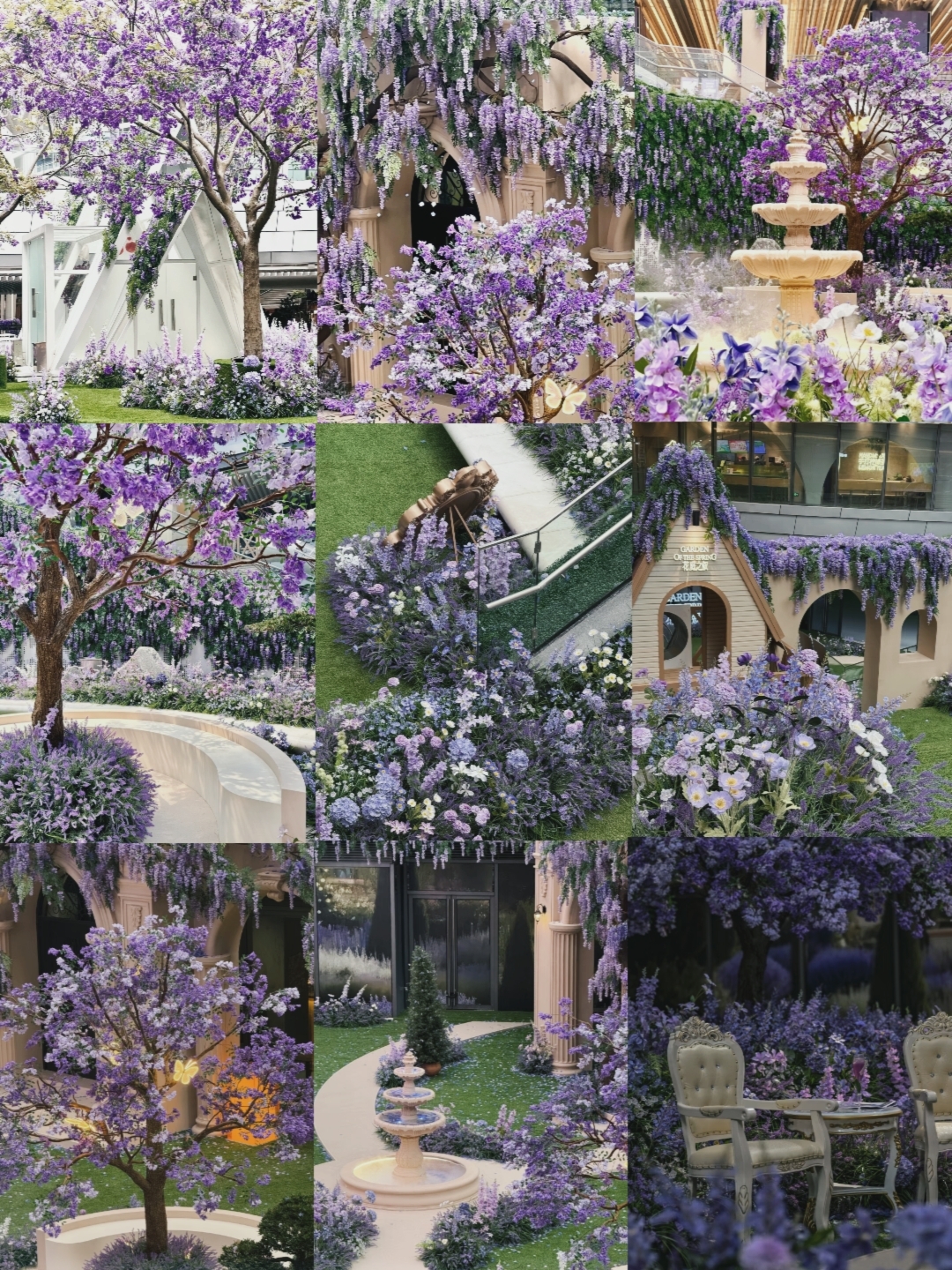Masuki Taman Monet Shenzhen dan rasakan lautan bunga ungu dan romansa Prancis