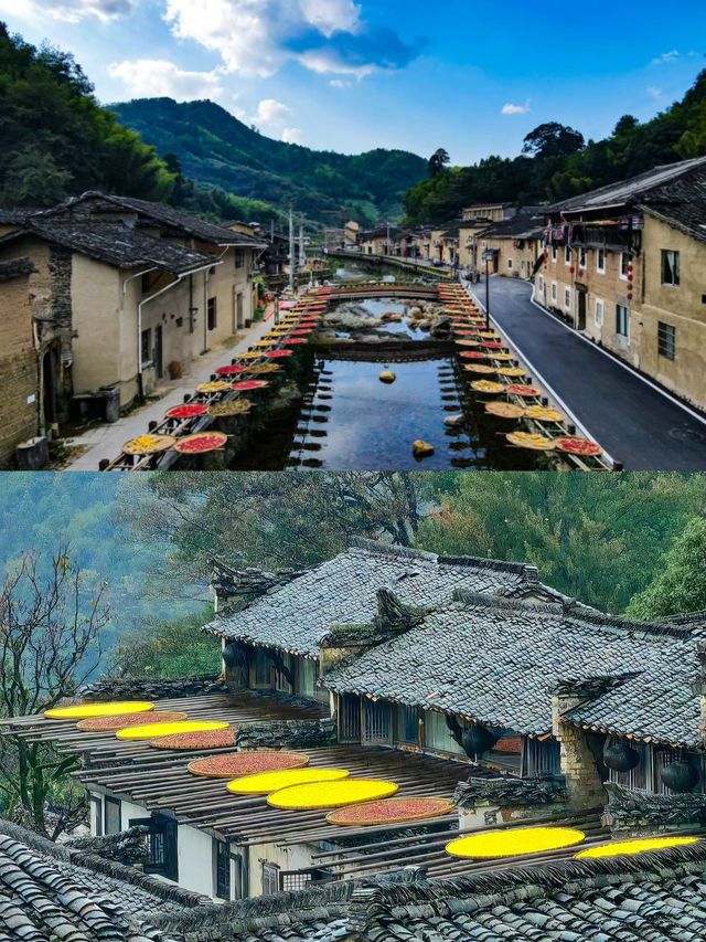 立秋C位！呢座閩北山城茶香四溢