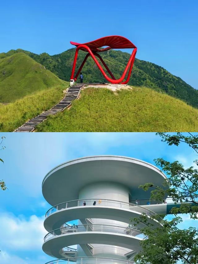 寧德已回,我的建議是… 寧德已回,我的建議是…