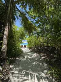 Unforgettable Honeymoon at Coco Bodu Hithi