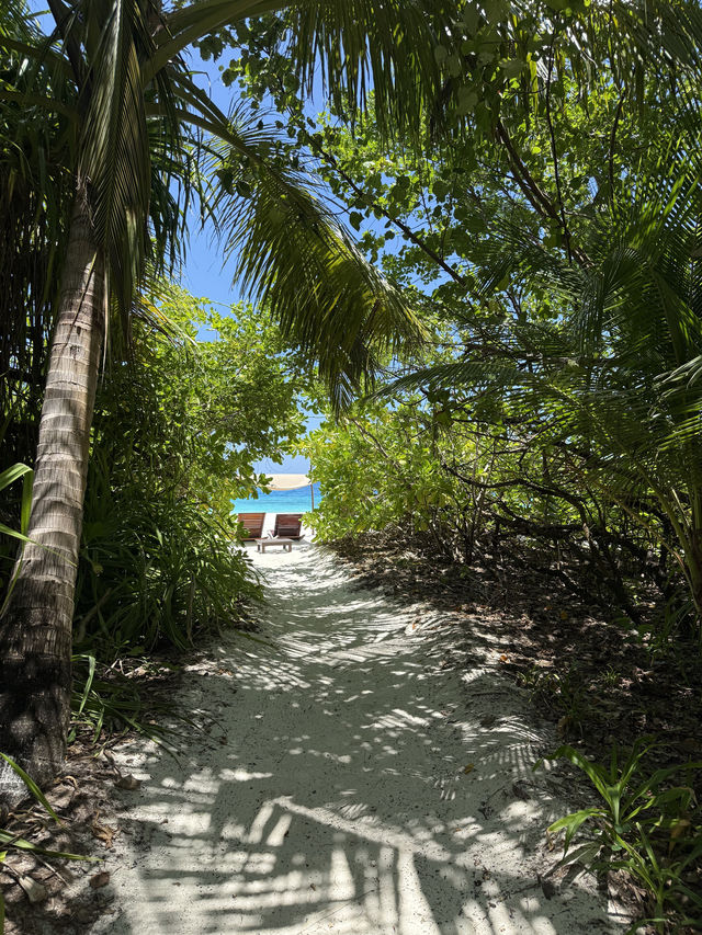 Unforgettable Honeymoon at Coco Bodu Hithi