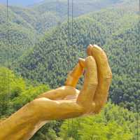 This is the Legendary Bamboo Forest of Crouching Tiger