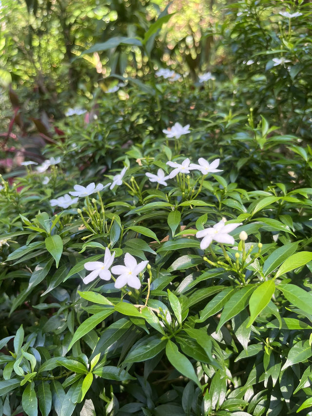 Weekend Vibes at Nanshan Park