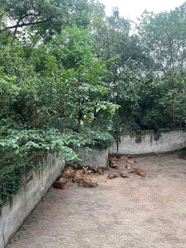 「觸摸千年心跳：在臨海江南長城，與歷史撞個滿懷」——國慶前夕