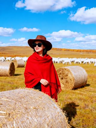 Golden Autumn in Northern Xinjiang!
