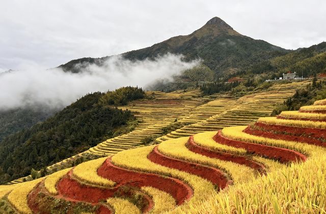 井岡山秋遊碎碎唸：紅土地的秋天比想像中好睇得多