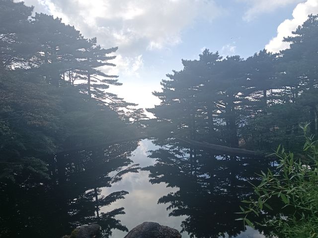 自然奇觀等你探尋---黃山