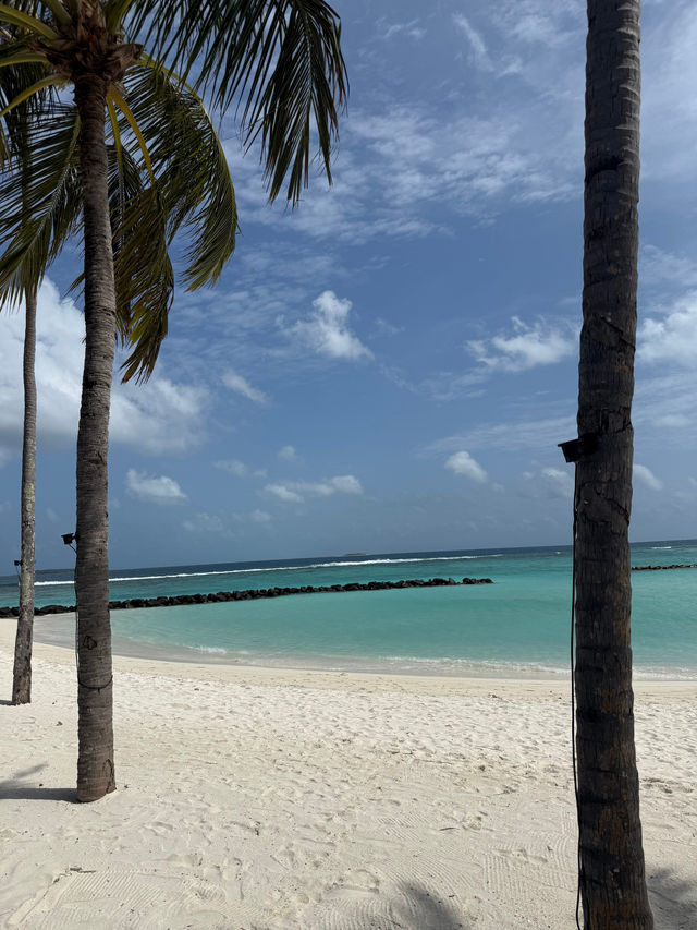 Unforgettable Honeymoon Experience at the Resort