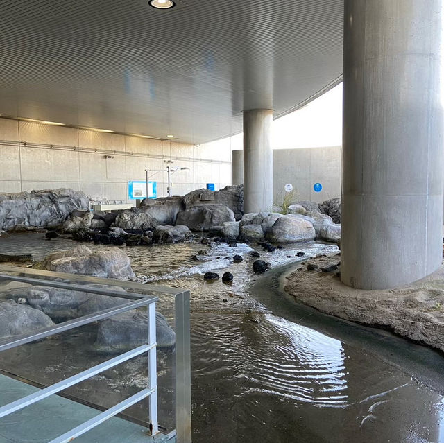 【東京】葛西臨海公園水族園へ🐠🫧‪