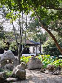 蘇州小眾秘境！怡園百年石榴樹也太出片了吧