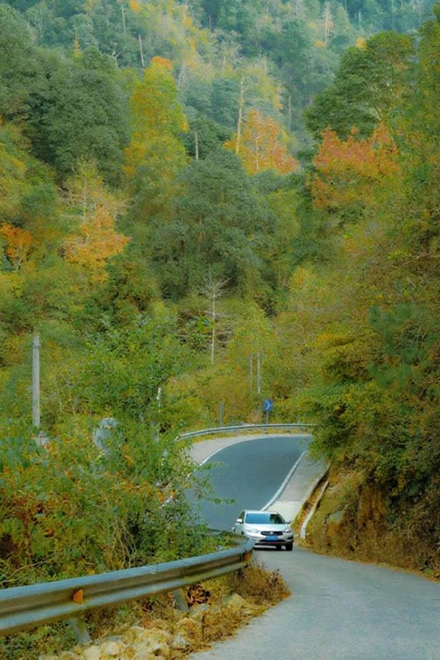 10月來天台山賞秋