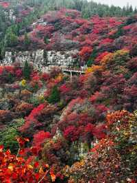石門坊賞紅葉，邂逅秋日浪漫