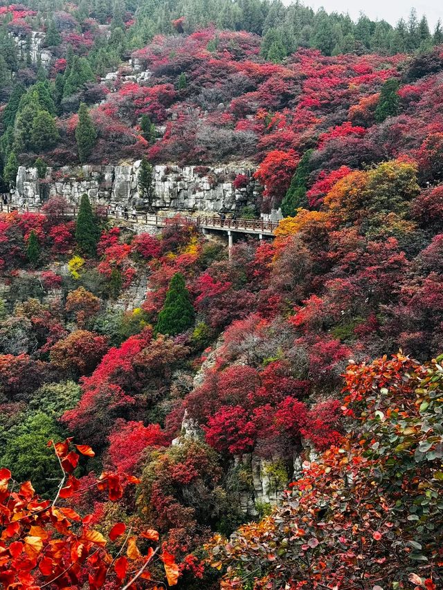 石門坊賞紅葉，邂逅秋日浪漫