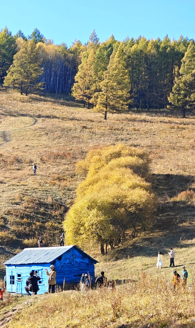 探秘阿爾山！3天2晚超全攻略來啦～