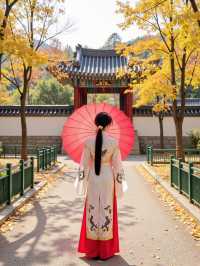 廣東銀杏之鄉打卡攻略秋日賞景天花板藏在這！