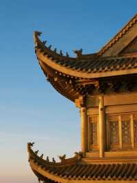 峨眉山金頂佛光之旅！雲海日出與靈猴的秋日奇遇