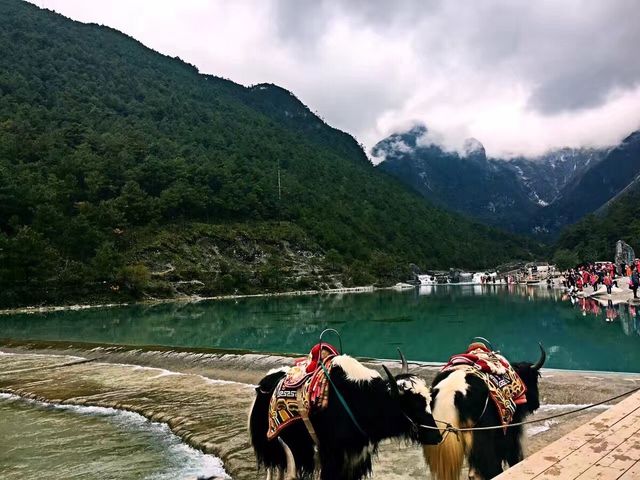 麗江十月慢時光：竹逸軒裡藏古韻