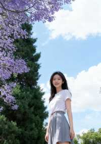 文廟前的藍花楹｜春末夏初的紫色約定