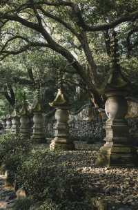秋風微涼，稻穀滿倉：記第四次去國清寺