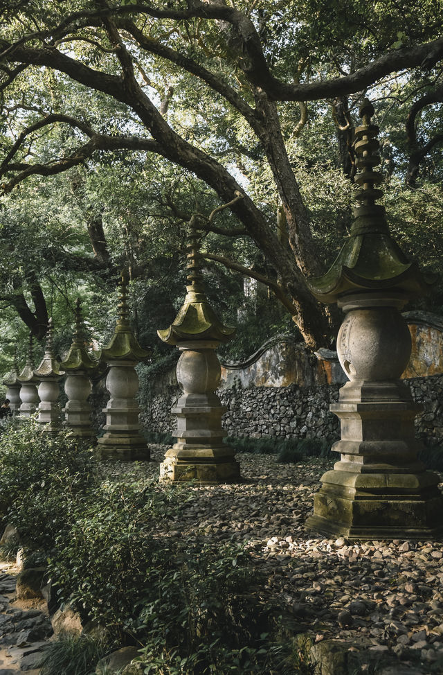 秋風微涼，稻穀滿倉：記第四次去國清寺