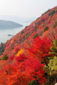 北京秋天私藏路線｜帝都紅葉季浪漫限定指南